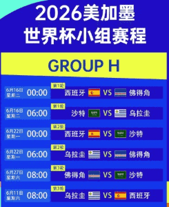 世界杯比赛用球与赛场